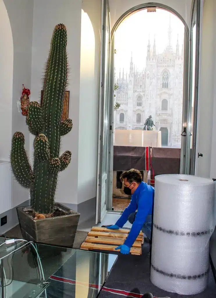 Operatore di Traslochi Boris prepara un grande cactus per il trasloco, con il Duomo di Milano sullo sfondo.